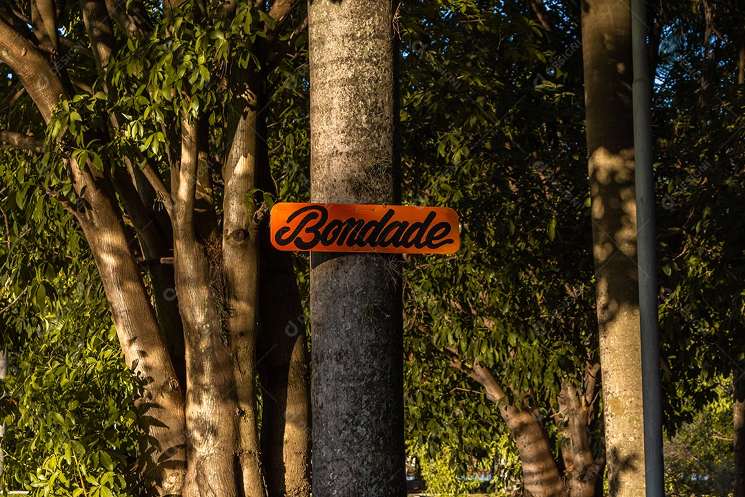 Fotos de um Parque, arvore com placa escrita bondade