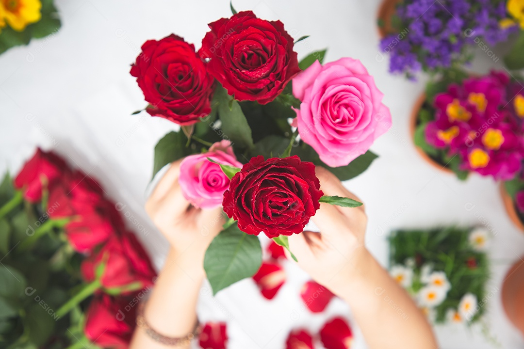 Mulher se preparando para aparar rosas vermelhas e cor de rosa e lindos arranjos de flores em casa