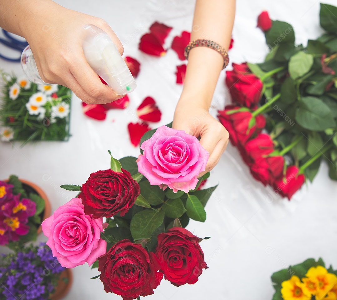 Mulher se preparando para aparar rosas vermelhas e cor de rosa e lindos arranjos de flores em casa