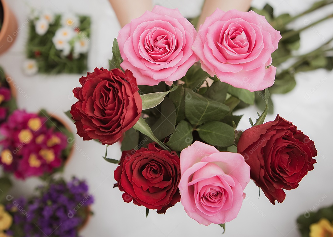 Mulher se preparando para aparar rosas vermelhas e cor de rosa e lindos arranjos de flores em casa