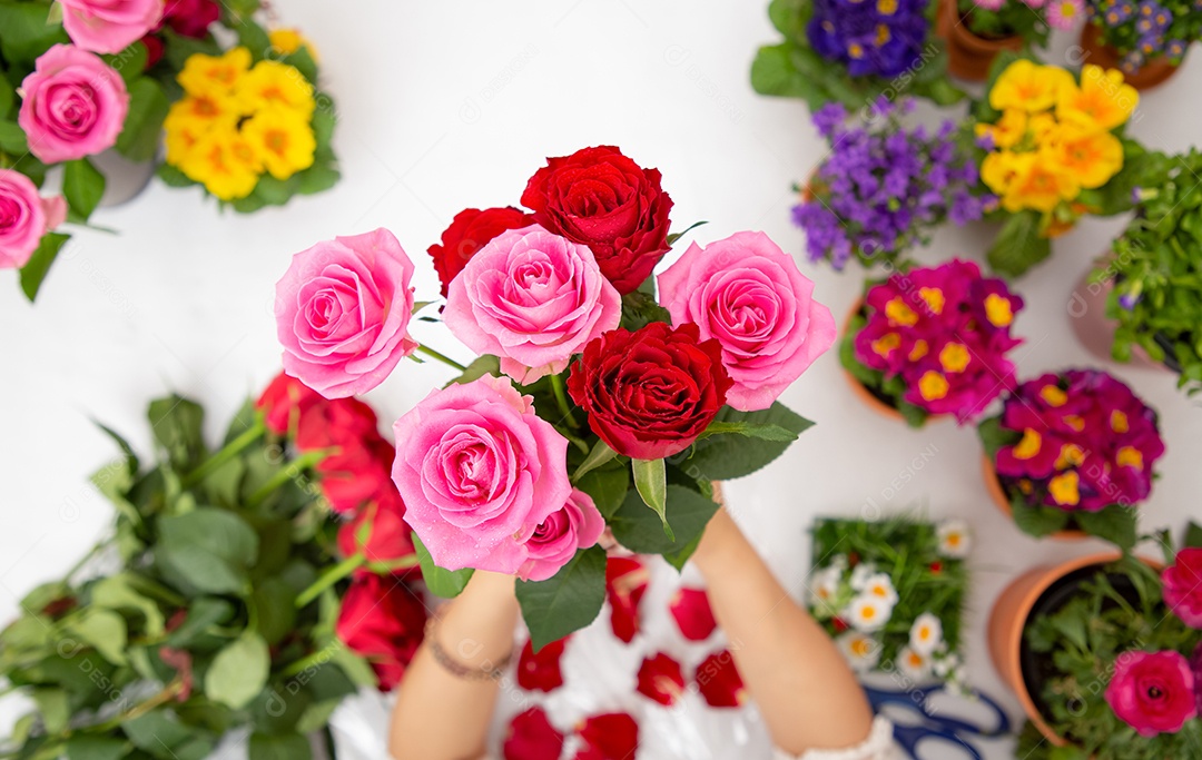 Mulher se preparando para aparar rosas vermelhas e cor de rosa e lindos arranjos de flores em casa