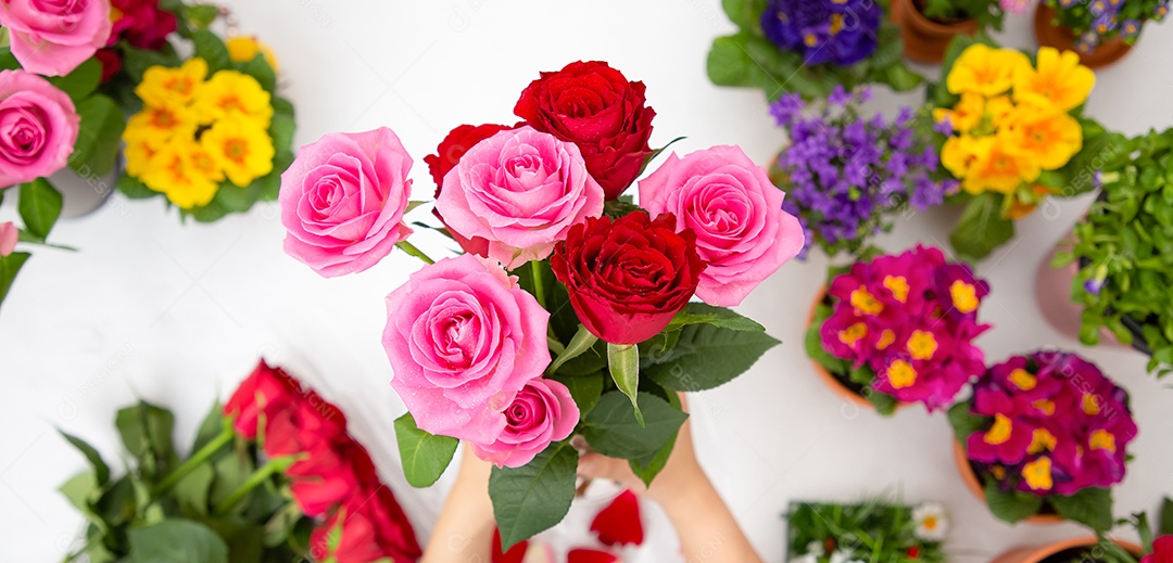 Mulher se preparando para aparar rosas vermelhas e cor de rosa e lindos arranjos de flores em casa