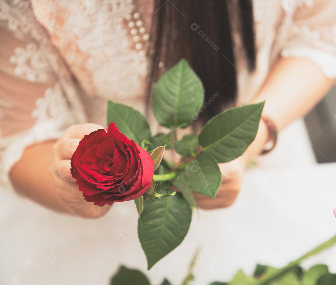 Mulher se preparando para aparar rosas vermelhas e cor de rosa e lindos arranjos de flores em casa