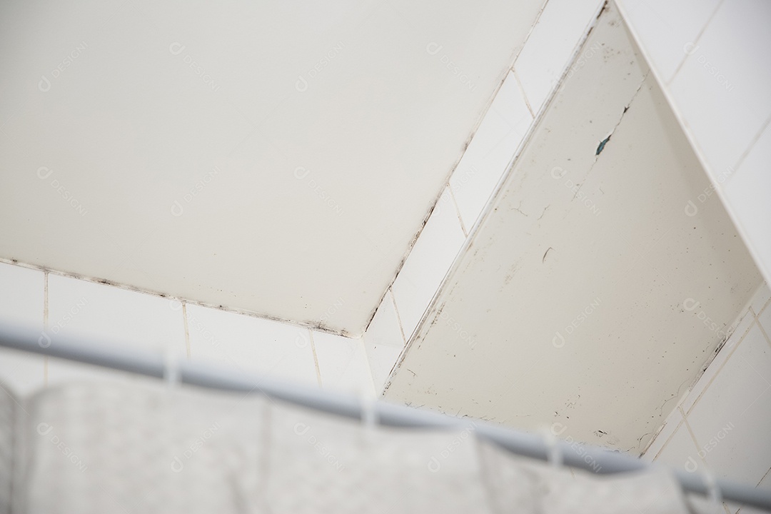 Mofo ou fungo na parede do banheiro causando mofo preto ou marrom no banheiro ou banheiro causado pela água quente e acúmulo de bactérias