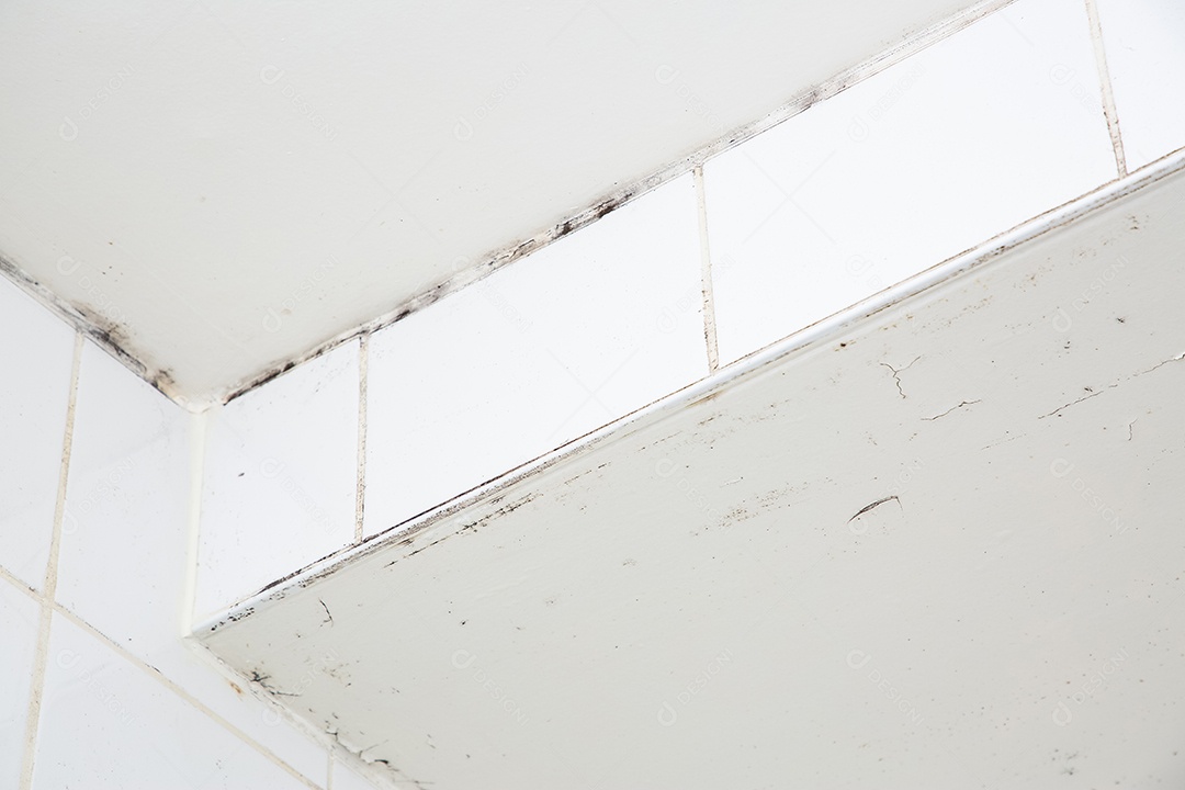 Mofo ou fungo na parede do banheiro causando mofo preto ou marrom no banheiro