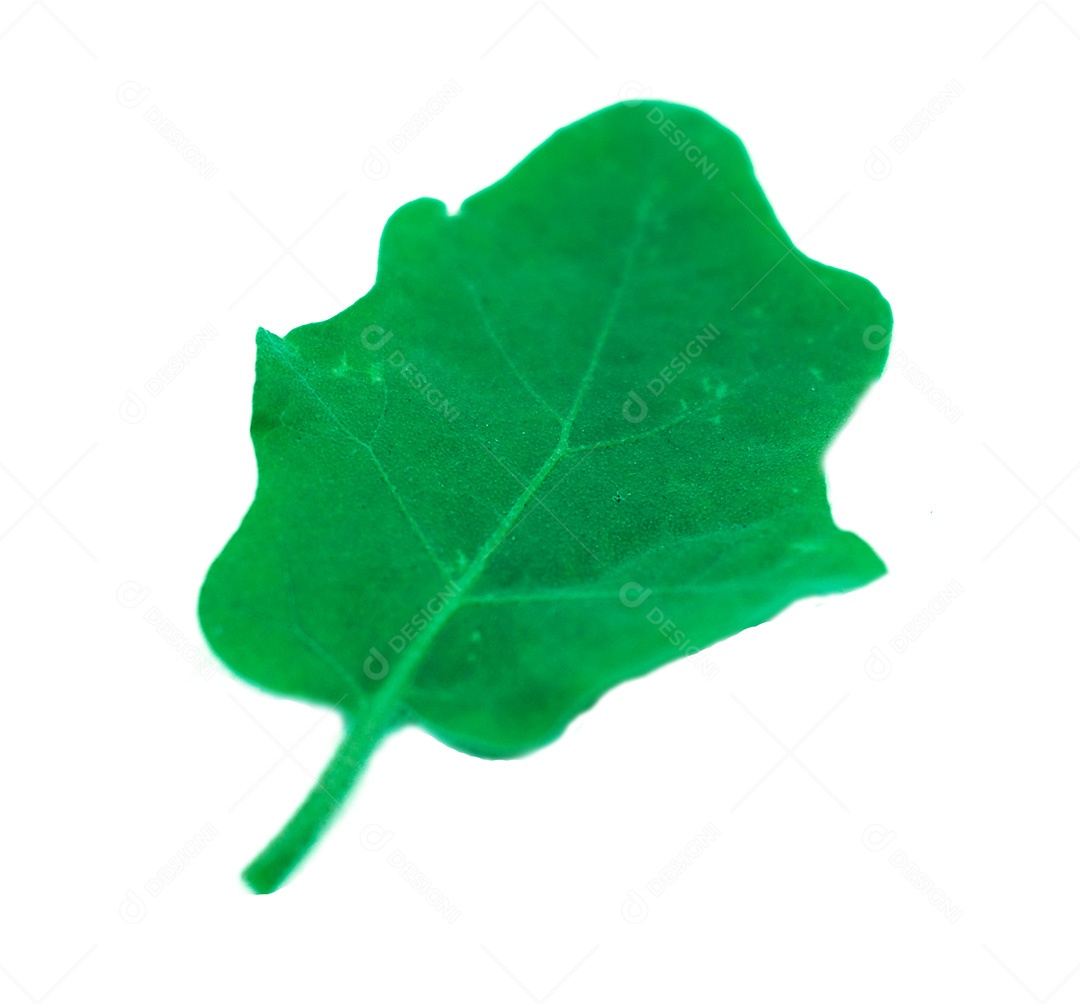 Câmera digital olympus.