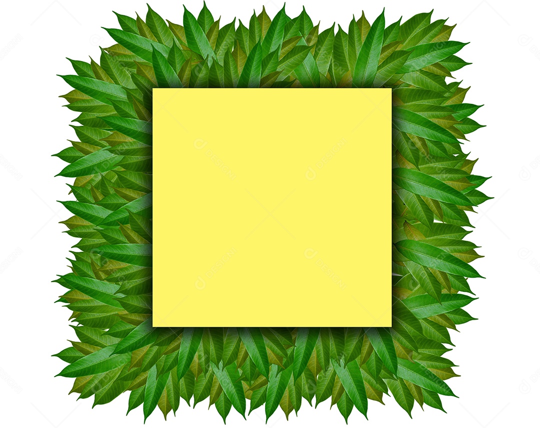 Moldura de folha de cor verde.