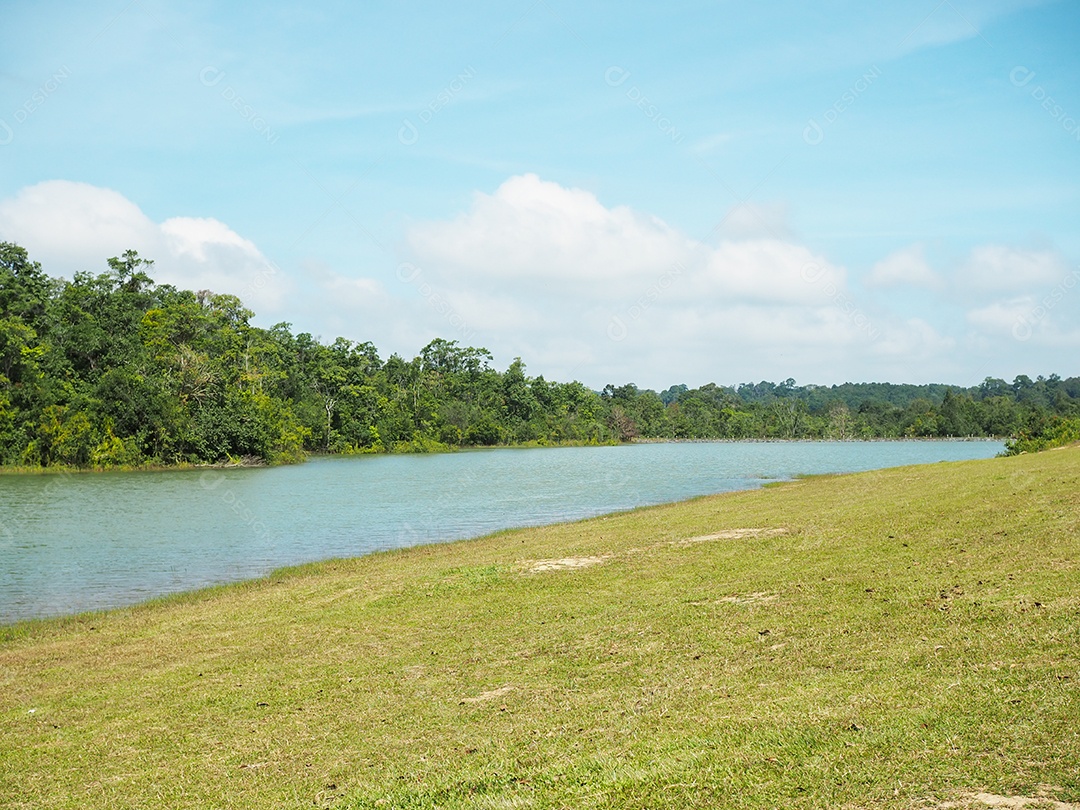 Paisagens de pastagens e rios com floresta verde e céu.