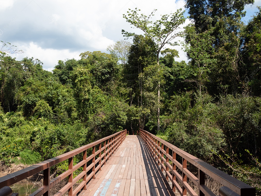 Uma longa ponte de madeira no meio da floresta.
