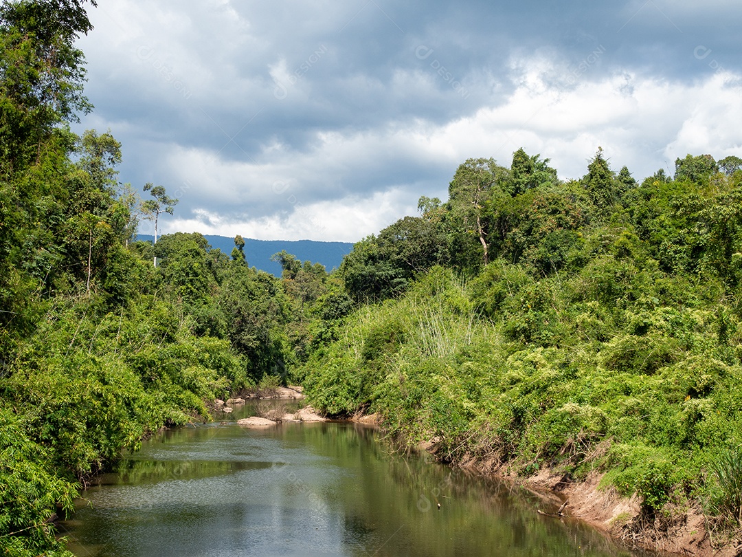 Floresta verde e rio no fundo do céu branco e nuvens.