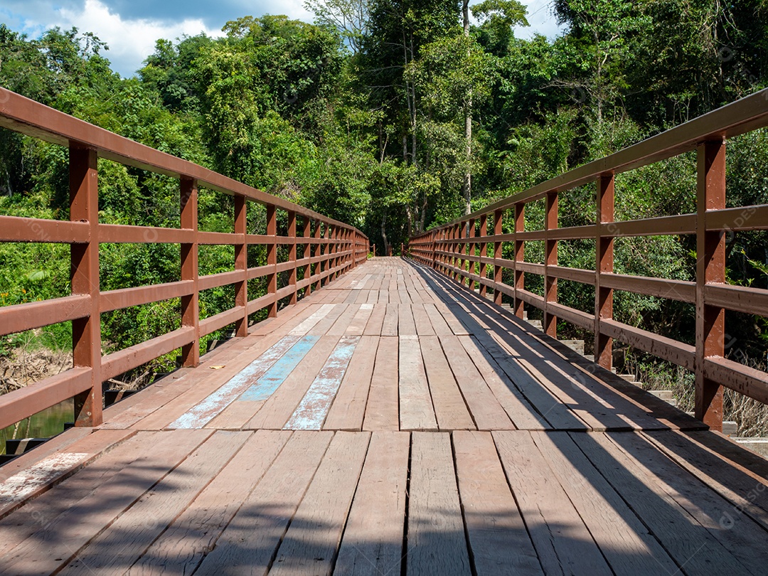 Uma longa ponte de madeira no meio da floresta.