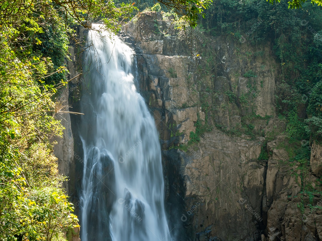 Imagem da cachoeira do meio da floresta em Khao.