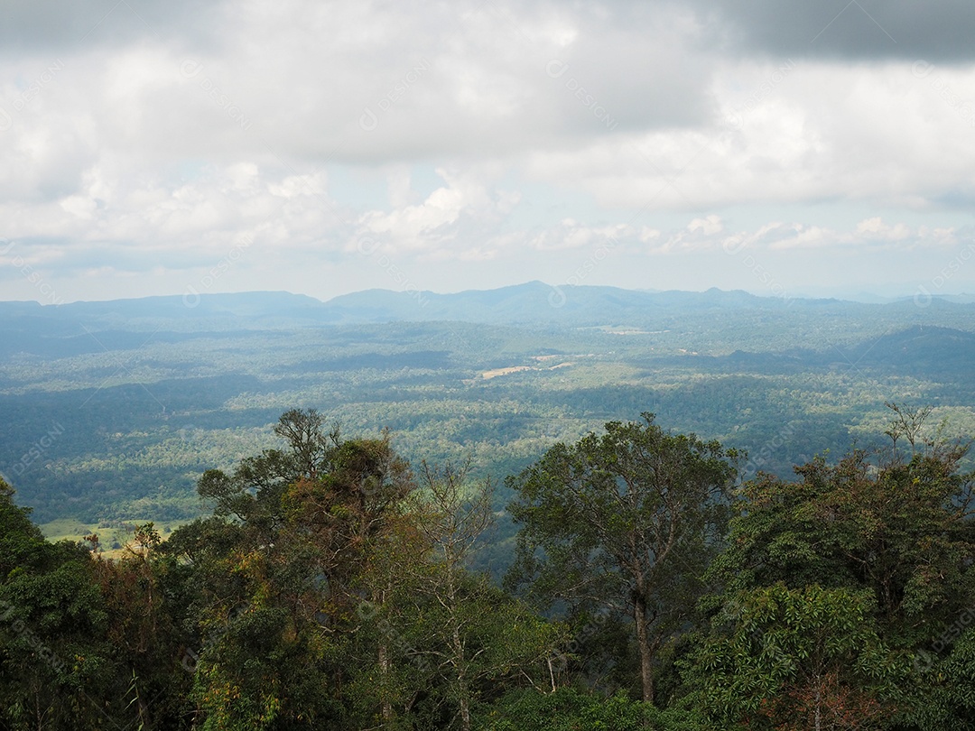 Floresta verde e montanhas no fundo do céu branco.