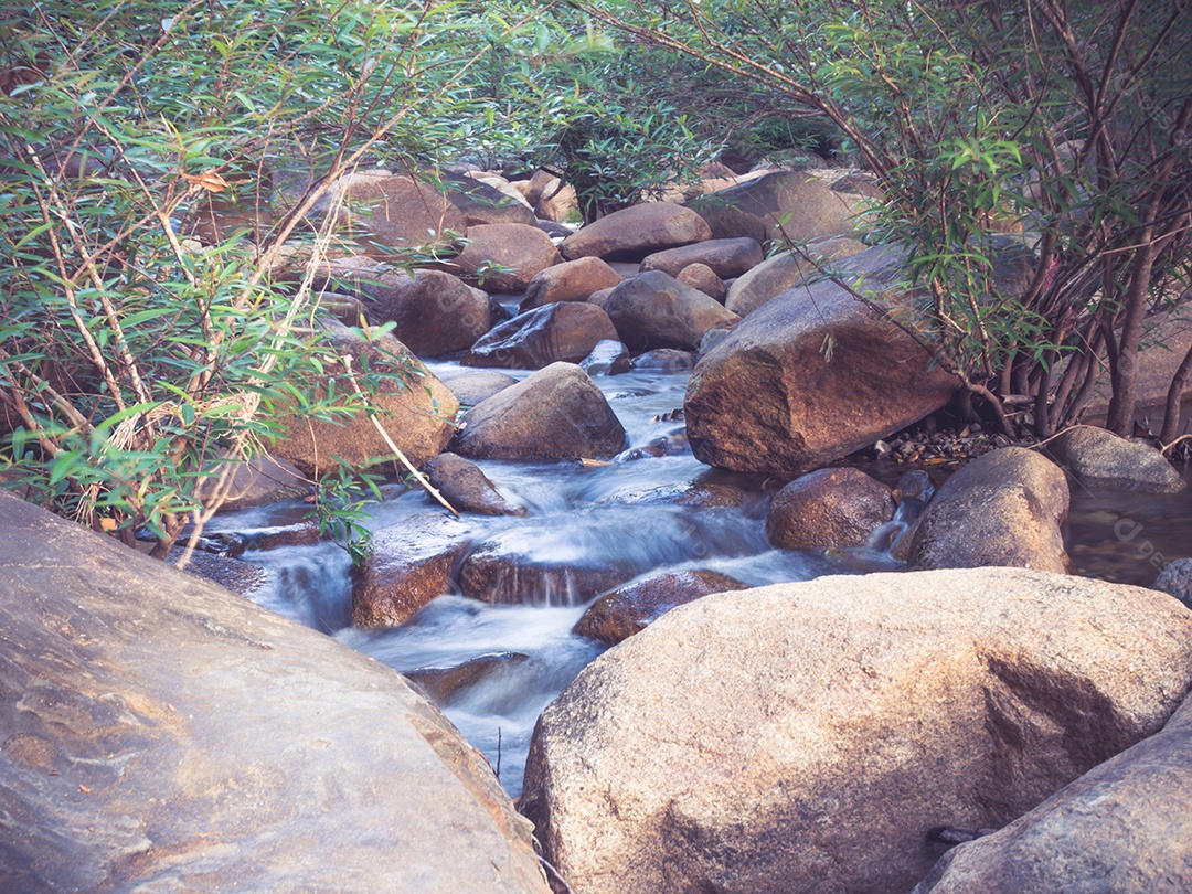 Um tiro de longa exposição de um pequeno riacho fluindo através de um marrom.