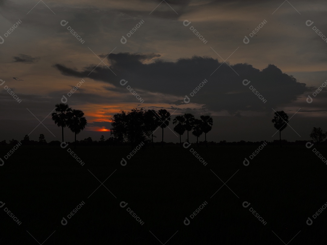 Uma visão de campo de arroz durante o pôr do sol na Tailândia.