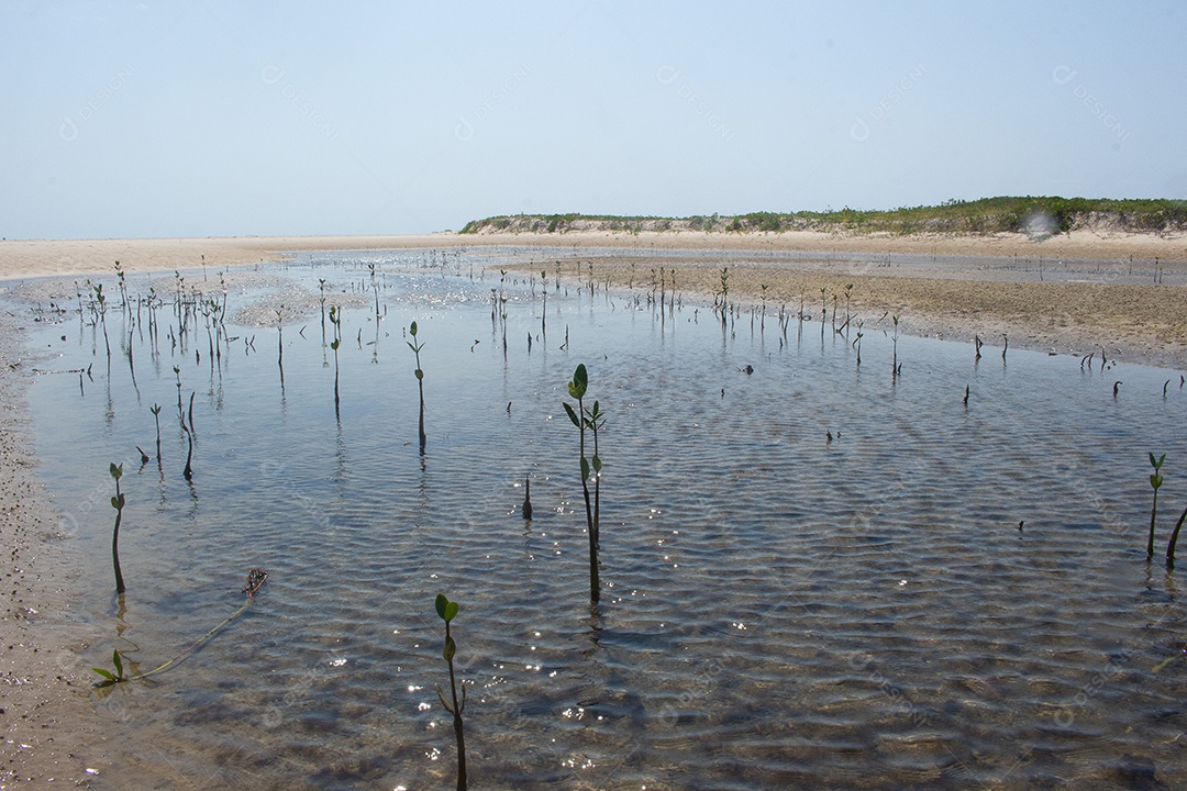 pequeno lago perto da praia