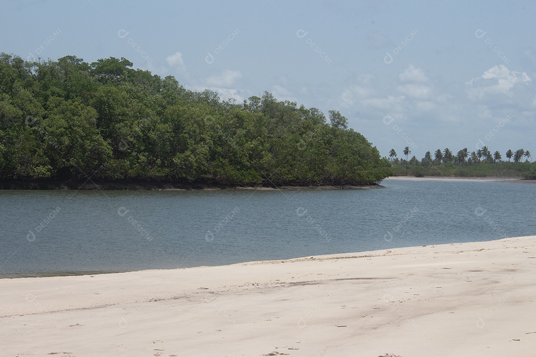 Paisagem linda praia lago floresta
