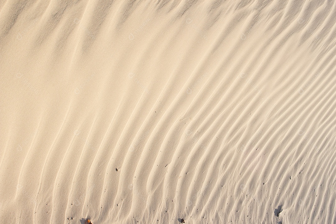 areia textura bege em um dia ensolarado - textura