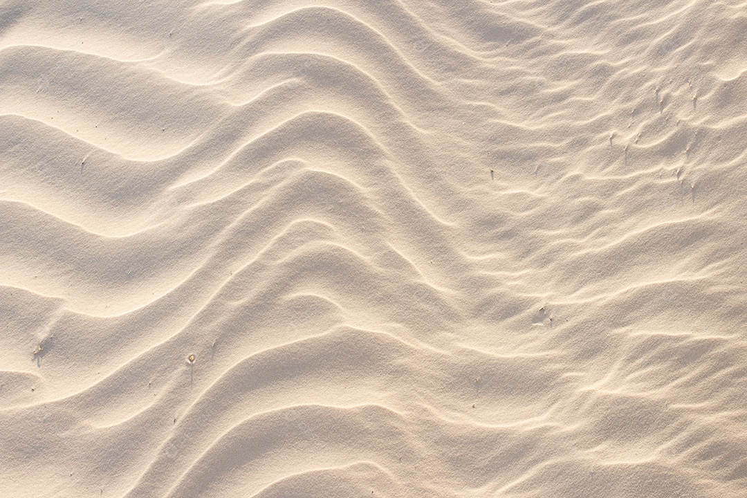 areia textura bege em um dia ensolarado - textura