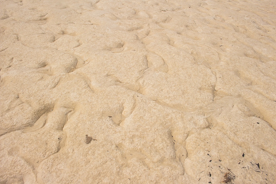 areia textura bege em um dia ensolarado - textura