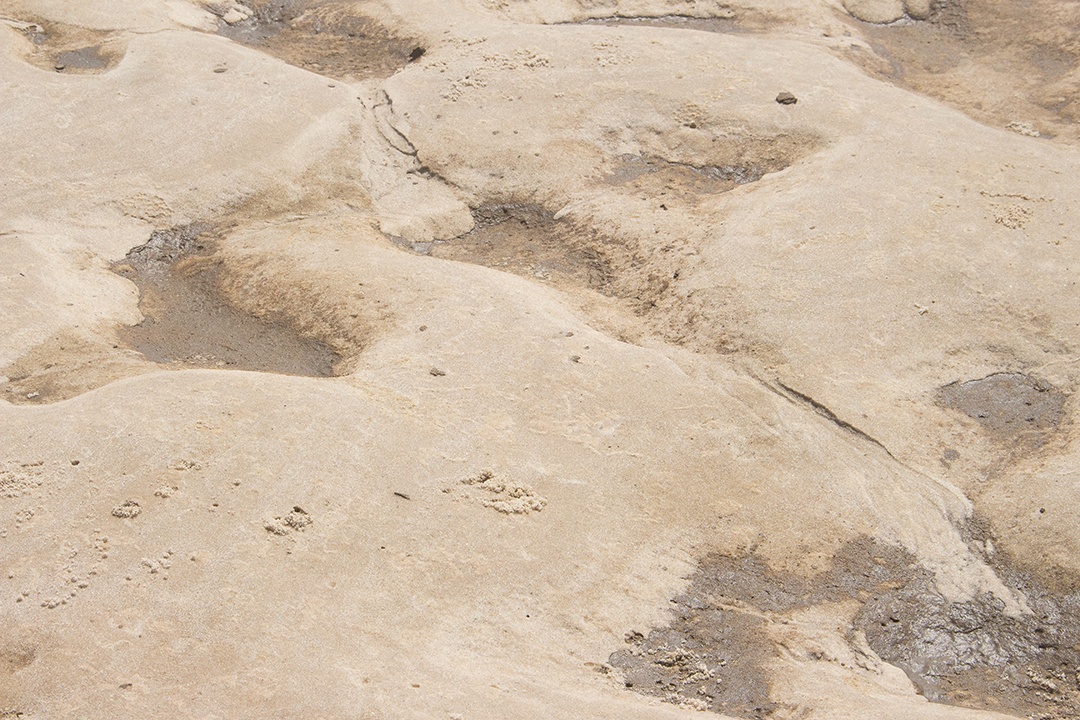 areia textura bege em um dia ensolarado - textura