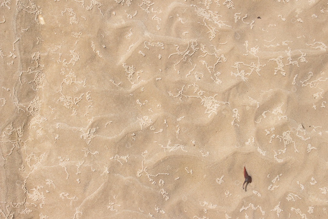 areia textura bege em um dia ensolarado - textura