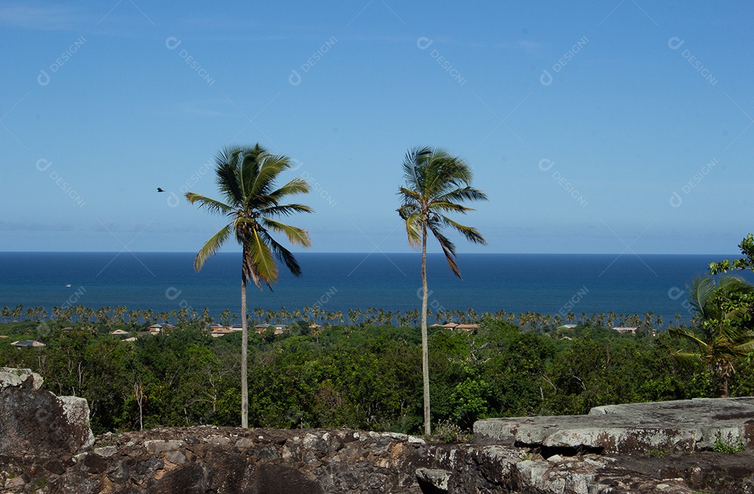 Vista incrível pela janela da paisagem e ruínas do castelo garcia davila na Praia do Forte