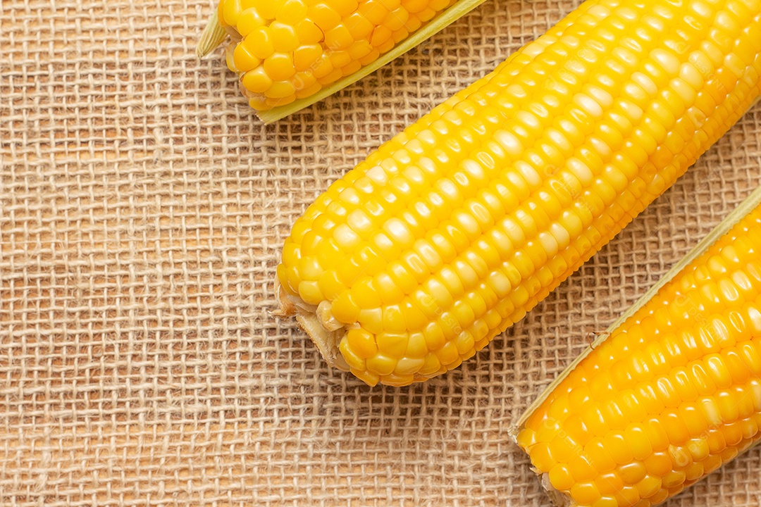 Milho festa brasileira em um fundo de palha