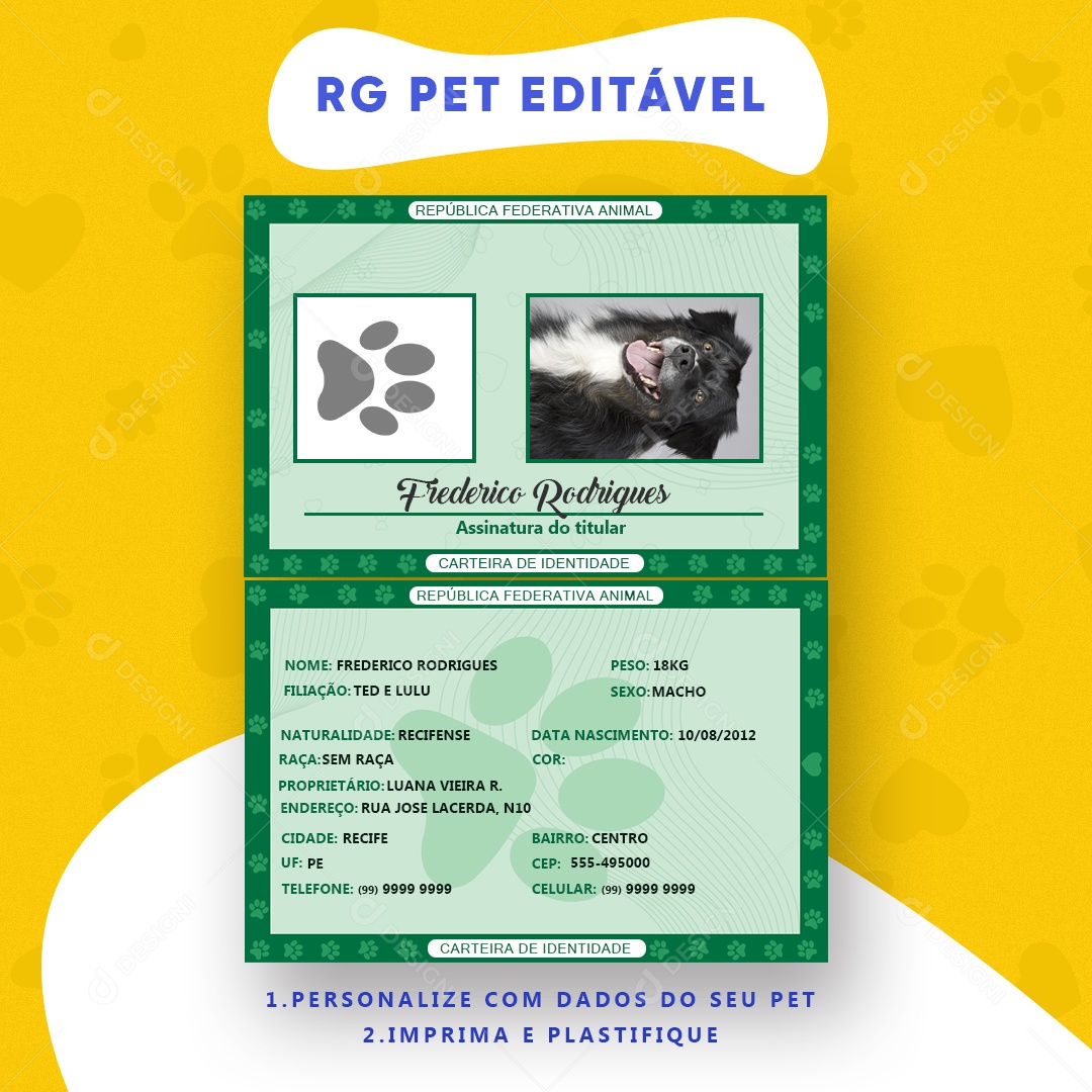 Mockup Rg De Pet Editável PSD