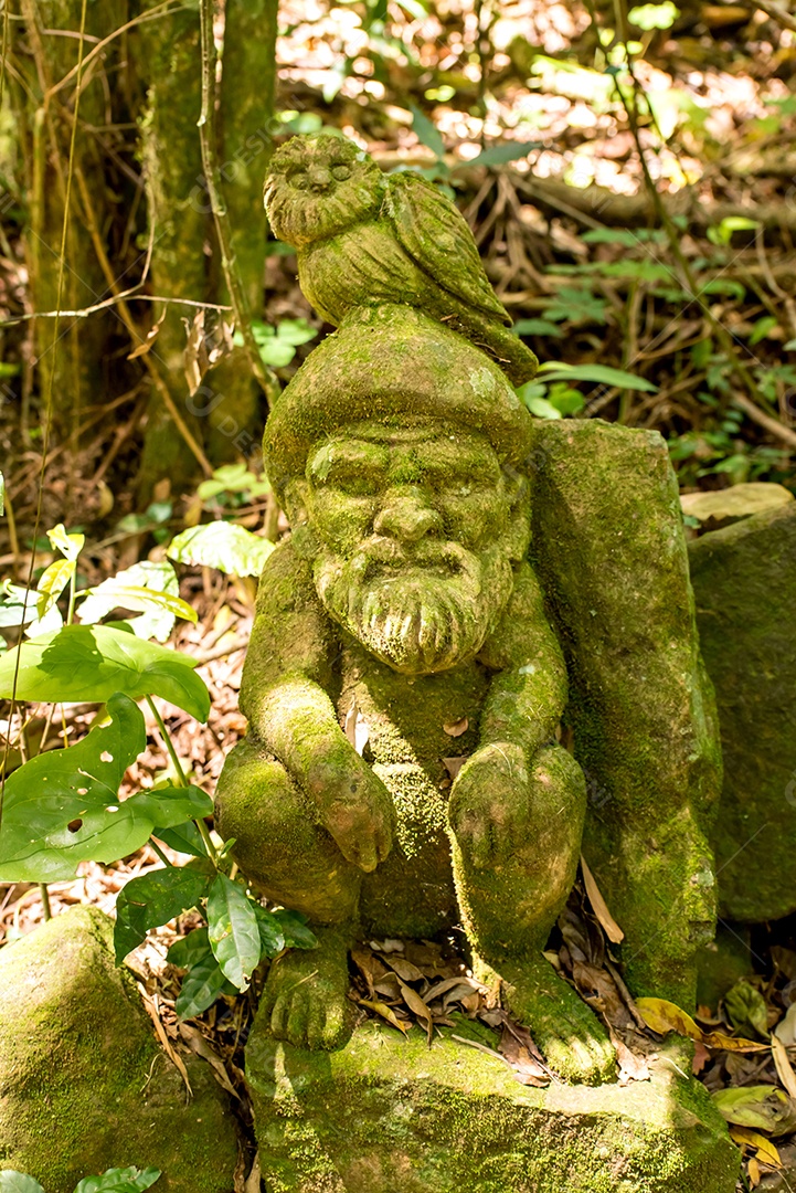 Estátua de um gnomo com uma coruja na cabeça na floresta