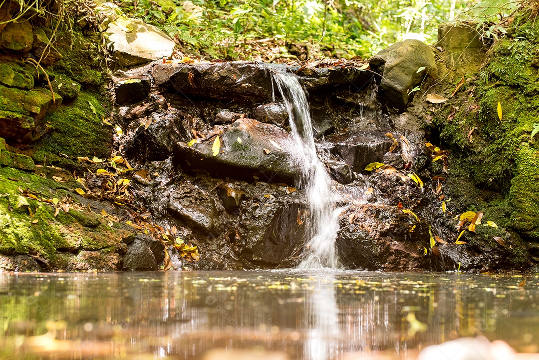 Pequena cachoeira na floresta no Brasil