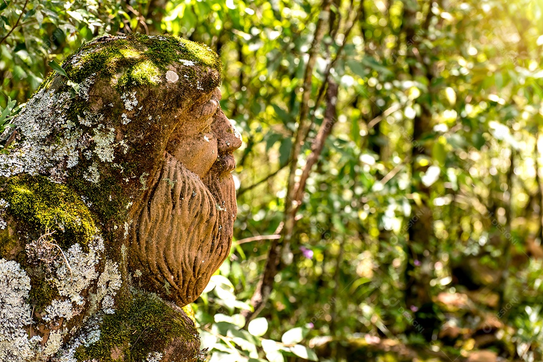 Estátua de um homem barbudo no meio da floresta, escultura