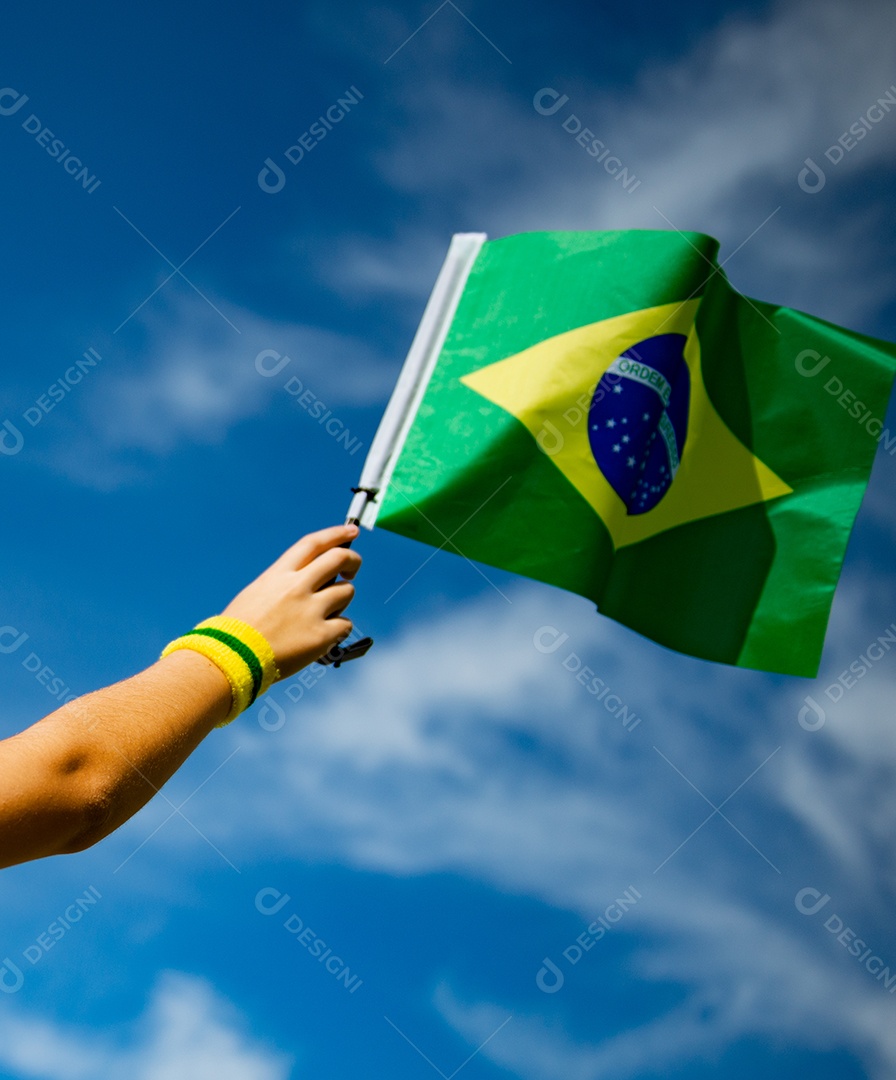 mulher brasileira torcedora brasileira brasil Copa do Mundo