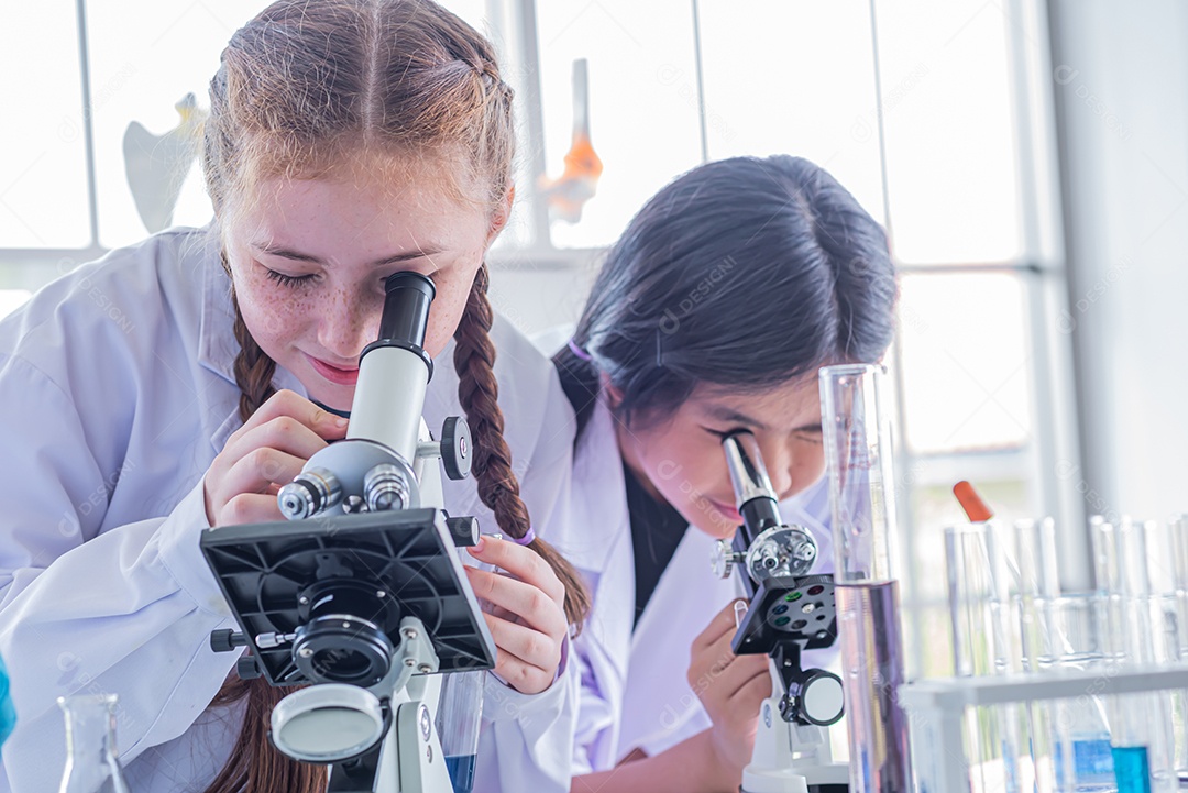 Crianças do grupo estudam assuntos científicos e usam o microscópio.