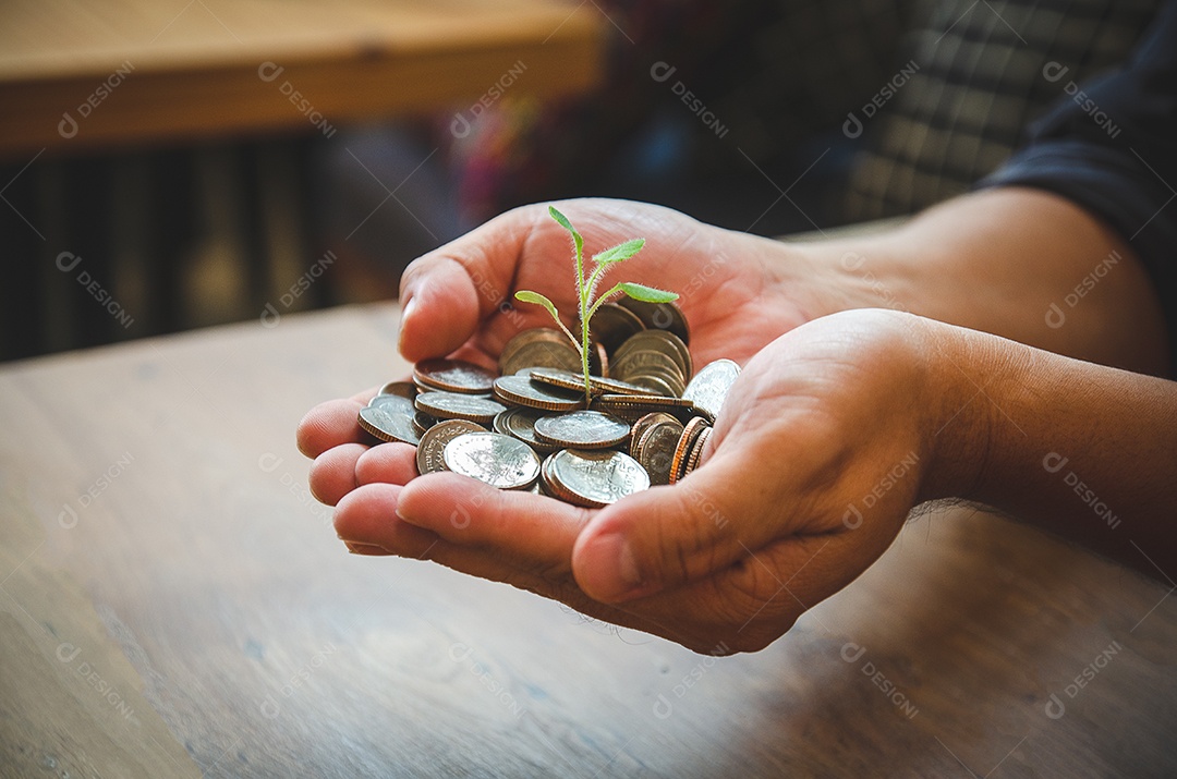 Mãos de homem com moeda com pagamento ou depósito bancário e há uma pequena árvore na moeda.