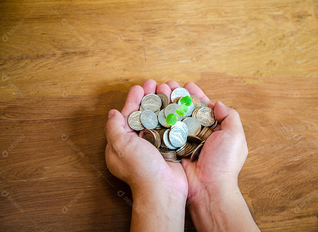 Mãos de homem de vista superior com moeda com pagamento ou depósito bancário e há uma pequena árvore na moeda.