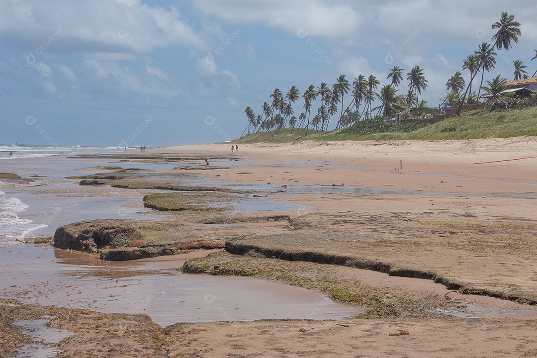 bela paisagem de praia e coqueiros em um dia ensolarado