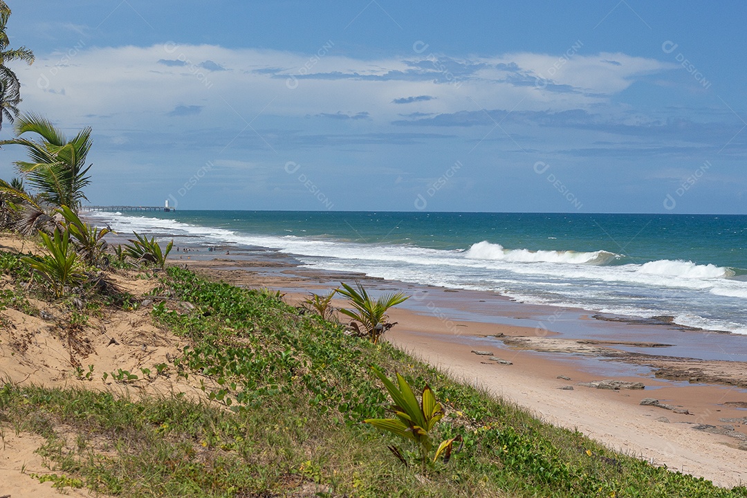 vista da areia da praia para o mar em um dia ensolarado