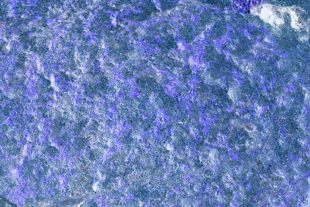 Textura marinha de coral verde em um dia ensolarado