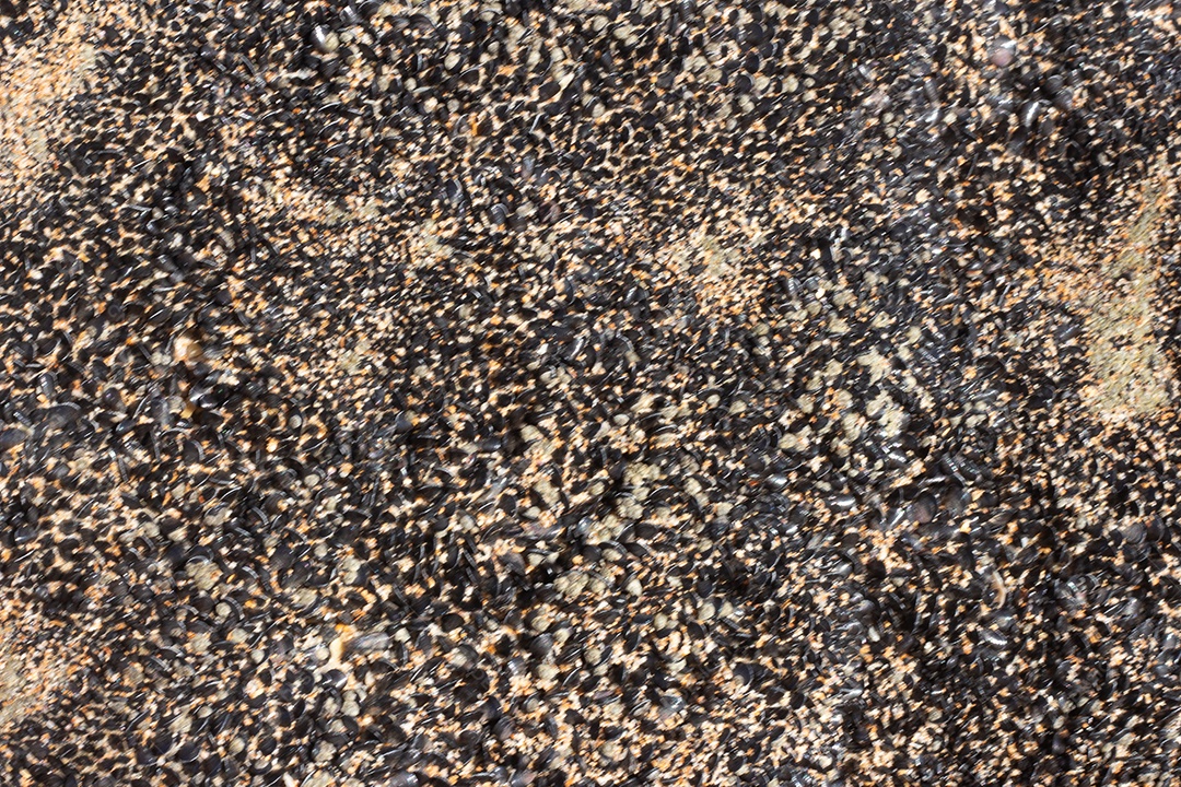 Textura marinha coral bege em um dia ensolarado