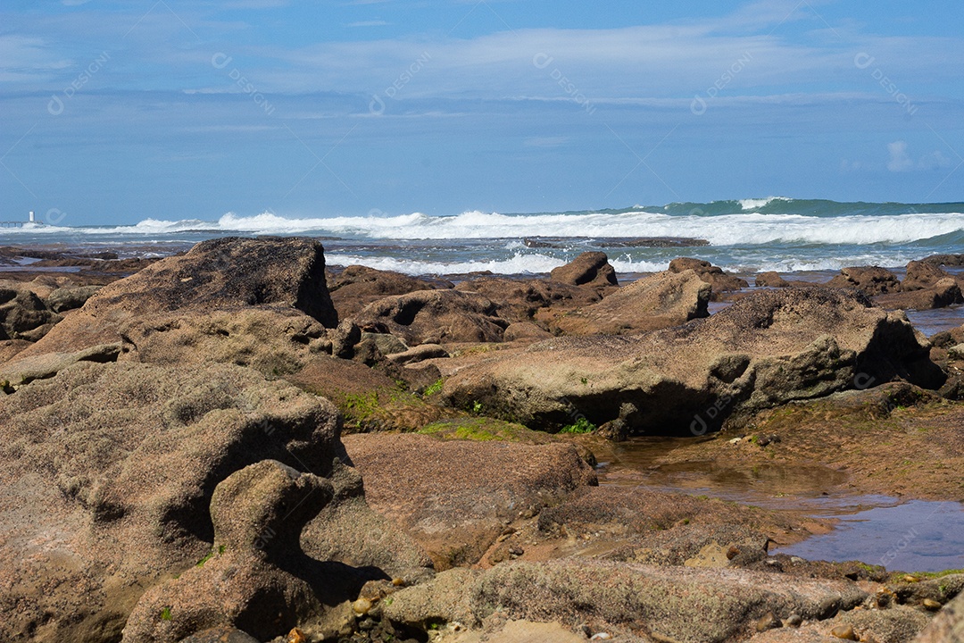 água da praia poluída com detritos da tempestade