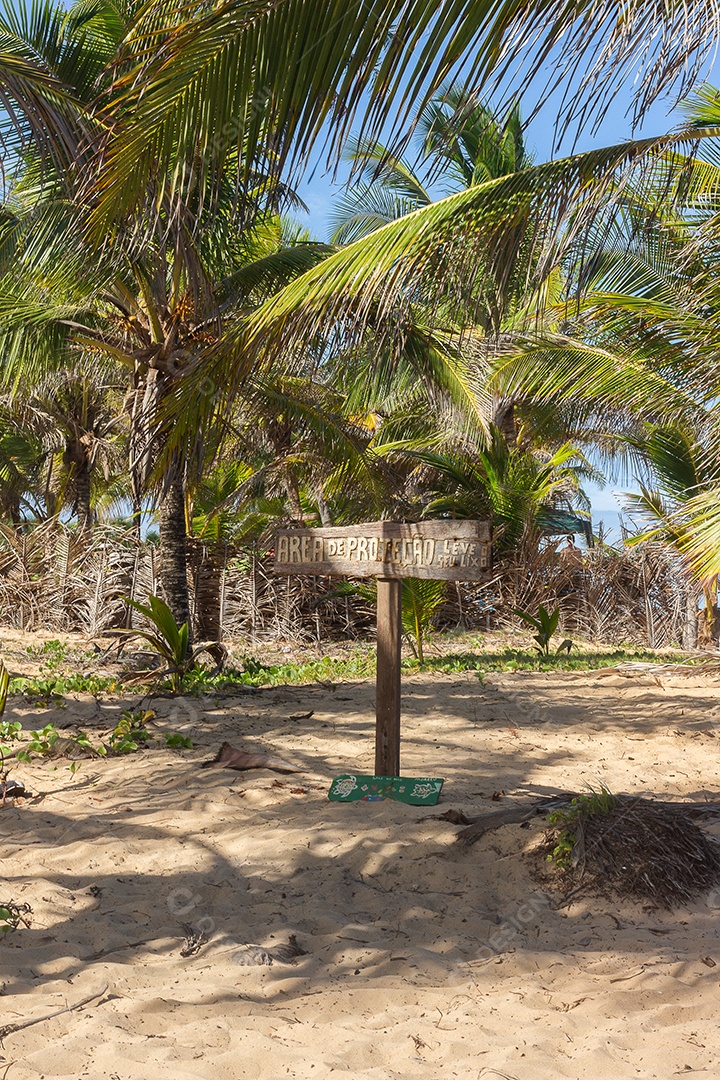 pessoas curtindo um dia ensolarado em um gramado verde cercado
