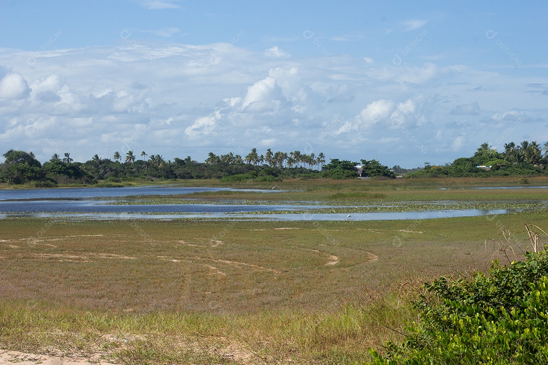 vista de um lago alugado por várias árvores