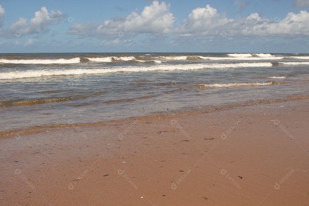 água da praia poluída com detritos da tempestade