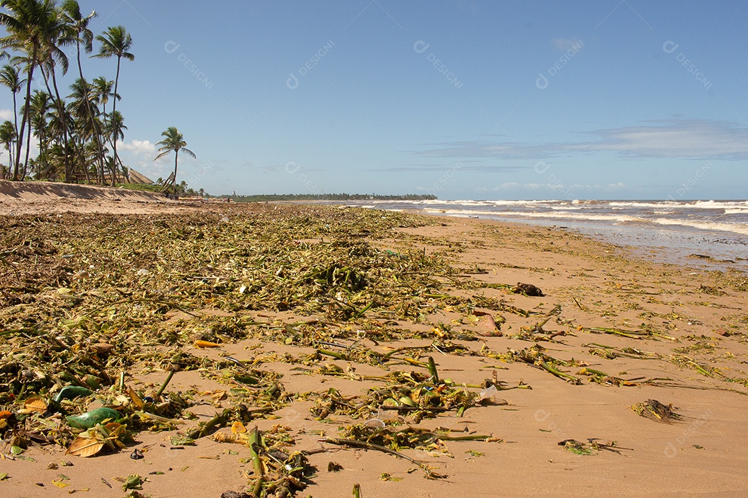 água da praia poluída com detritos da tempestade