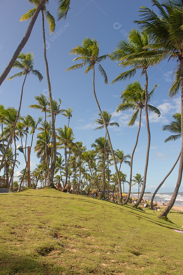 pessoas curtindo um dia ensolarado em um gramado verde cercado