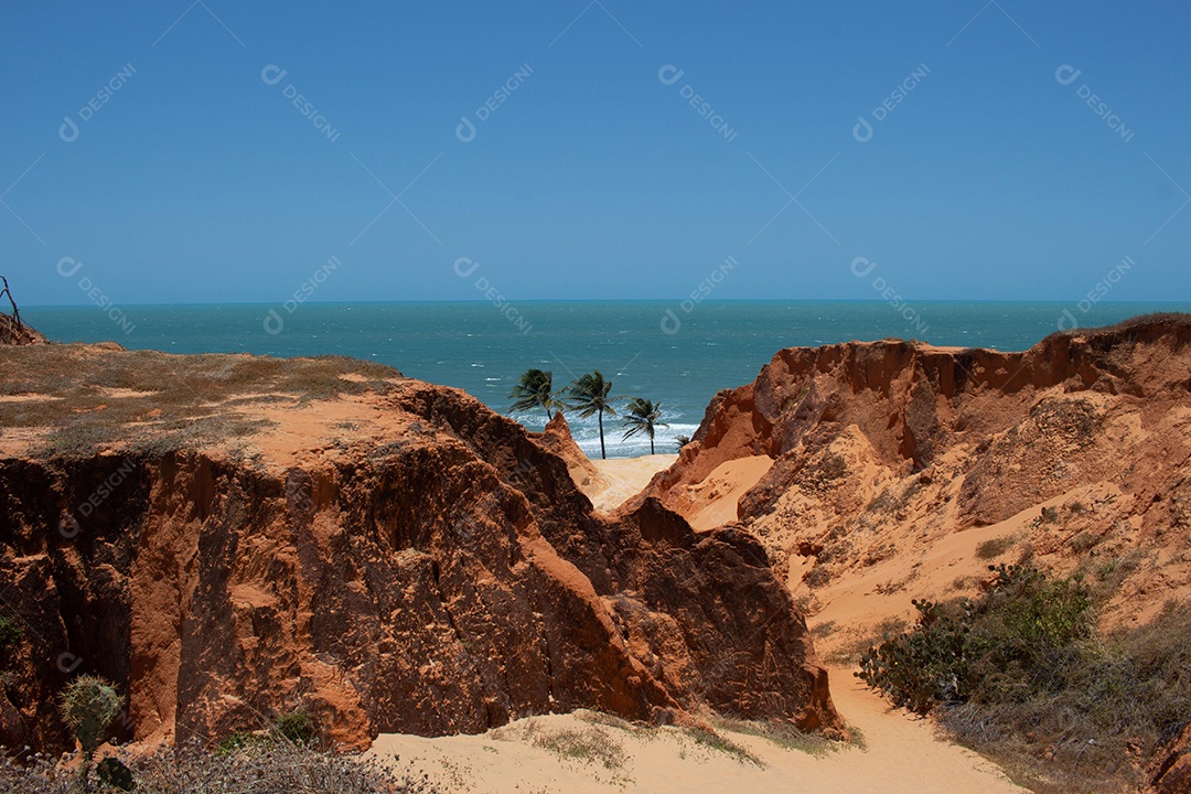 Bela paisagem da praia com três coqueiros