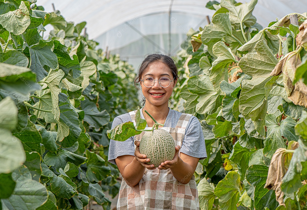 Fazendeira asiática Feliz segurando melão, produção de melão