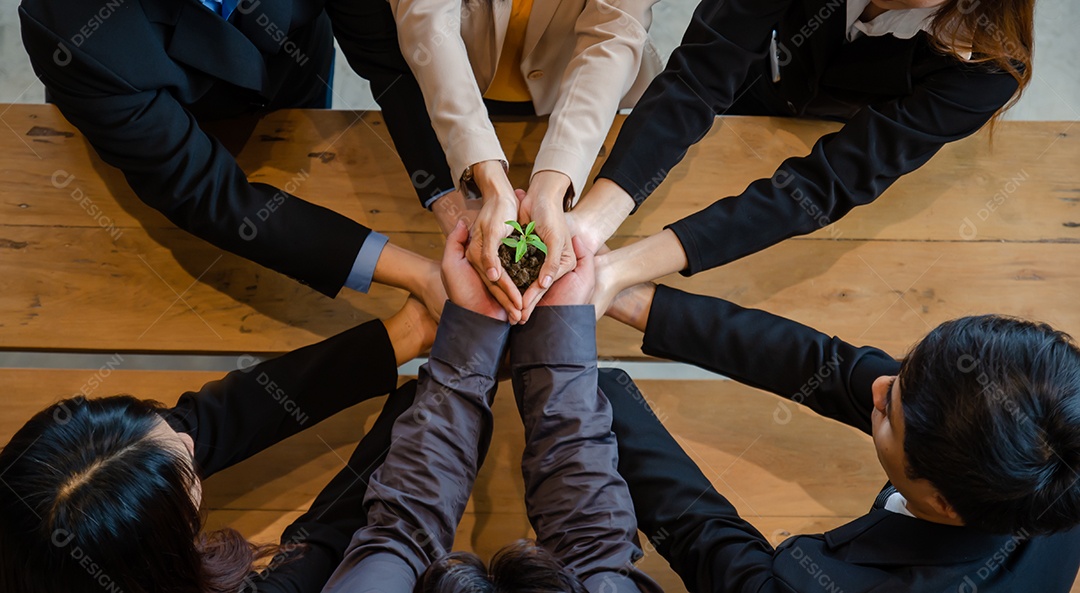 Parceiros de negócios em energia limpa ou renovável, cooperação