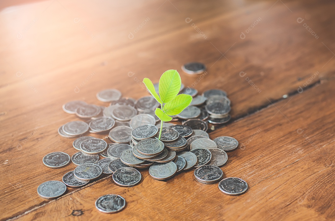 Poupar dinheiro permite que o dinheiro cresça